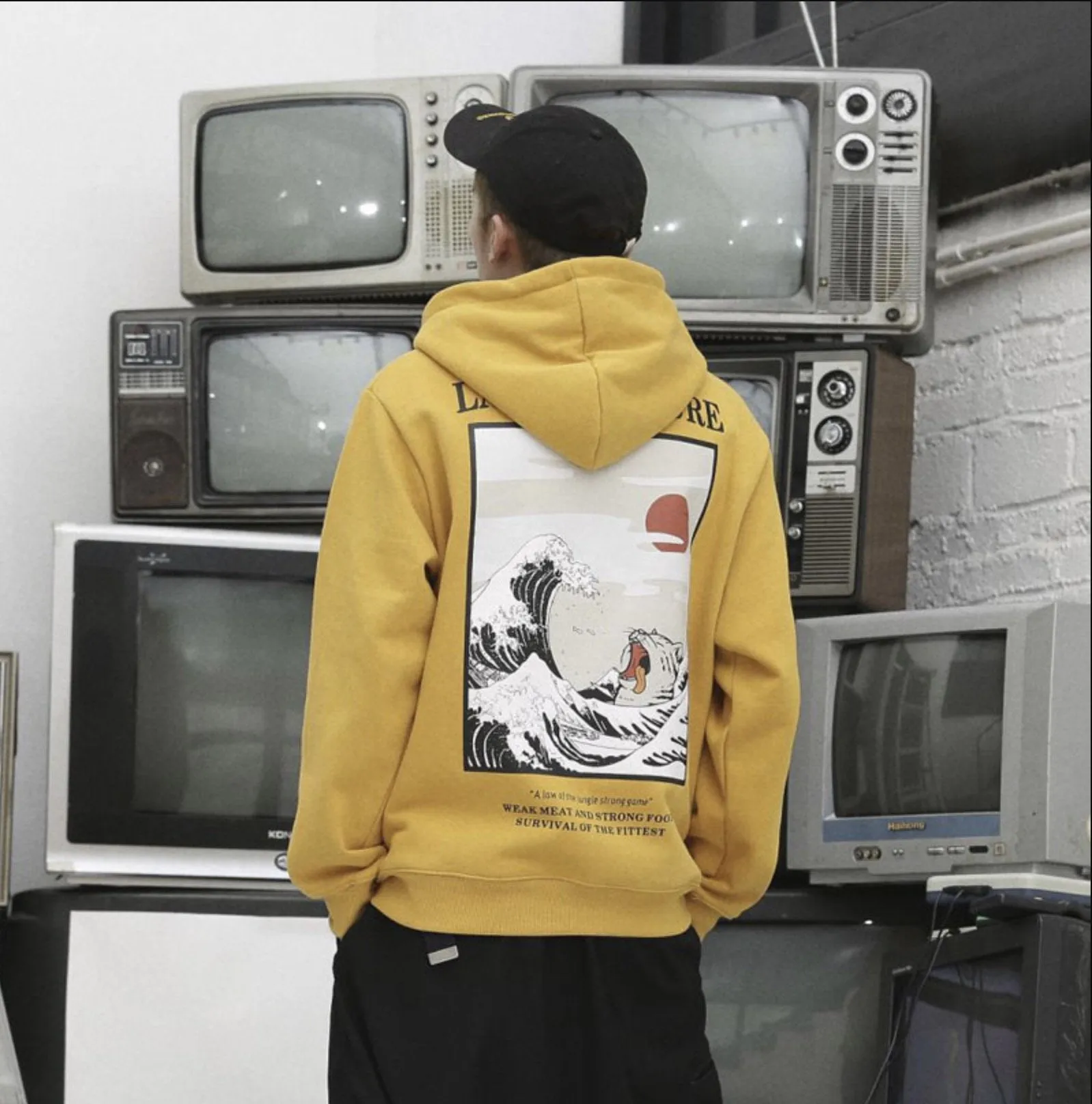 Japanese Embroidery Funny Cat Wave Printed Fleece Hoodies Winter Japan Style Hip Hop Casual Sweatshirts Streetwear