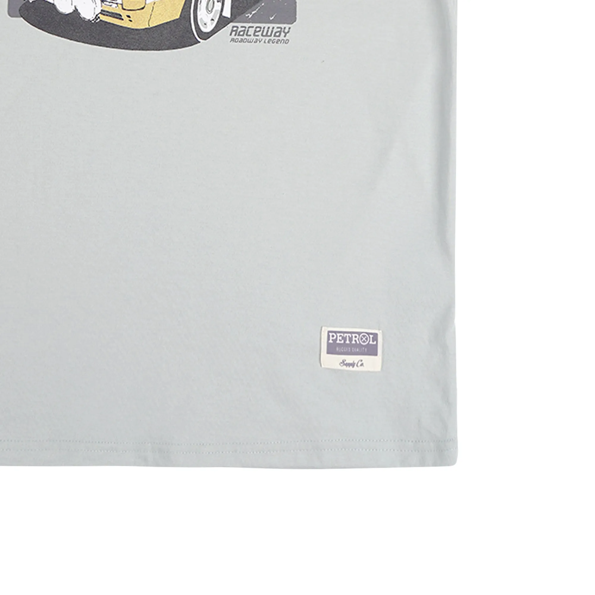 Petrol Men's Basic Tees Slim Fitting Cotton Jersey Fabric 164962-U (Sage)